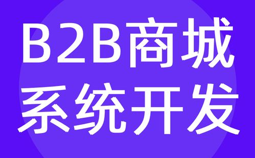 B2B商城系統(tǒng)開發(fā) 批發(fā) 電商平臺定制公司 紅匣子科技