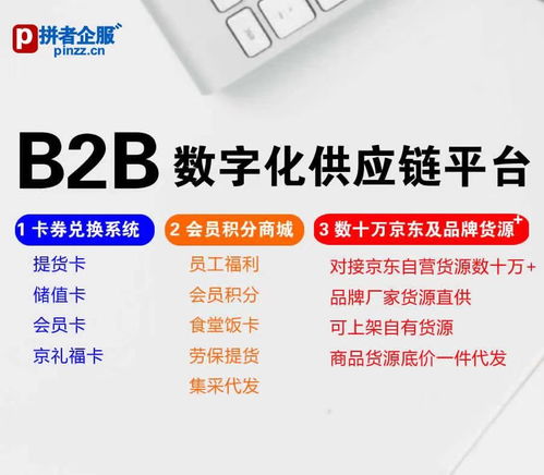 拼者企服 b2b數(shù)字化供應(yīng)鏈,會(huì)員卡券積分兌換商城,對(duì)接京東及品牌商品數(shù)十萬(wàn)種貨源