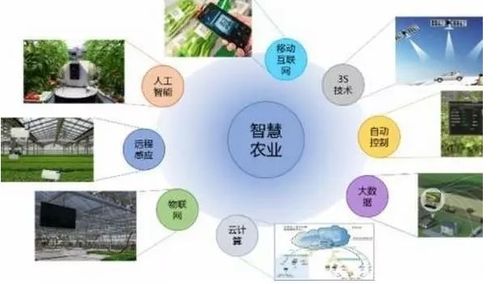 農(nóng)產(chǎn)品溯源微防偽系統(tǒng)解決方案