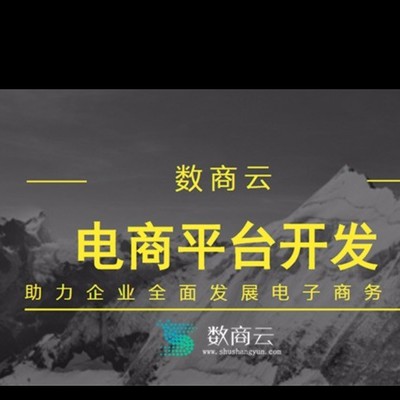 B2B電商平臺(tái)搭建批發(fā)_B2B2C/B2C電商平臺(tái)搭建廠家_新零電商售平臺(tái)開(kāi)發(fā)廠家直銷(xiāo)