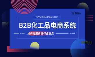 化工行業(yè)b2b網(wǎng)站,未來幾年發(fā)展重點